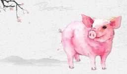 4 con giáp may mắn nhất tháng 1/2022: Tuổi Tý tài vận hanh thông, tuổi Dậu đào hoa nở rộ