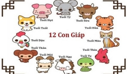 Vận hạn 12 con giáp năm 2022: Tuổi Dần 'đương đầu với chông gai', Tuổi Ngọ 'thành công rực rỡ'