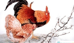 Top 5 con giáp có mệnh phượng hoàng, mang phúc trạch cho gia đình