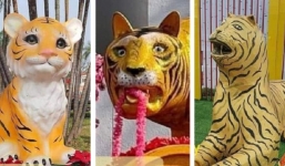 Tượng hổ 63 tỉnh thành so kè nhan sắc: Hổ Phú Yên, Bình Định, Bắc Ninh cạnh tranh ngôi vương