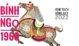 Xem tuổi xông đất năm 2022 cho gia chủ tuổi Bính Ngọ 1966