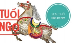 Xem tuổi xông đất năm 2022 cho gia chủ tuổi Ngọ: Giáp Ngọ 1954, Bính Ngọ 1966, Mậu Ngọ 1978, Canh Ngọ 1990, Nhâm Ngọ 2002
