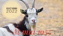 Xem giờ tốt, hướng đẹp xuất hành tết Nhâm Dần 2022 cho gia chủ tuổi Ất Mùi 1955