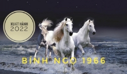 Xem giờ tốt, hướng đẹp xuất hành tết Nhâm Dần 2022 cho gia chủ tuổi Bính Ngọ 1966