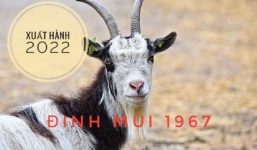 Xem giờ tốt, hướng đẹp xuất hành tết Nhâm Dần 2022 cho gia chủ tuổi Đinh Mùi 1967