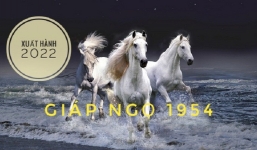 Xem giờ tốt, hướng đẹp xuất hành tết Nhâm Dần 2022 cho gia chủ tuổi Giáp Ngọ 1954