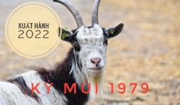 Xem giờ tốt, hướng đẹp xuất hành tết Nhâm Dần 2022 cho gia chủ tuổi Kỷ Mùi 1979