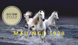 Xem giờ tốt, hướng đẹp xuất hành tết Nhâm Dần 2022 cho gia chủ tuổi Mậu Ngọ 1978