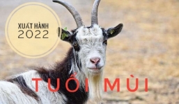 Xem giờ tốt, hướng đẹp xuất hành tết Nhâm Dần 2022 cho gia chủ tuổi Mùi: Ất Mùi 1955, Đinh Mùi 1967, Kỷ Mùi 1979, Tân Mùi 1991, Quý Mùi 2003