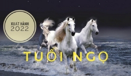 Xem giờ tốt, hướng đẹp xuất hành tết Nhâm Dần 2022 cho gia chủ tuổi Ngọ: Giáp Ngọ 1954, Bính Ngọ 1966, Mậu Ngọ 1978, Canh Ngọ 1990, Nhâm Ngọ 2002