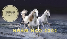 Xem giờ tốt, hướng đẹp xuất hành tết Nhâm Dần 2022 cho gia chủ tuổi Nhâm Ngọ 2002