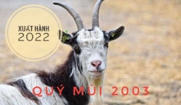 Xem giờ tốt, hướng đẹp xuất hành tết Nhâm Dần 2022 cho gia chủ tuổi Quý Mùi 2003