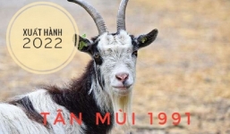 Xem giờ tốt, hướng đẹp xuất hành tết Nhâm Dần 2022 cho gia chủ tuổi Tân Mùi 1991