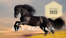 Chọn ngày mở hàng, khai trương cho tuổi Giáp Ngọ 1954 năm 2022 buôn may bán đắt
