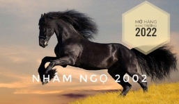 Chọn ngày mở hàng, khai trương cho tuổi Nhâm Ngọ 2002 năm 2022 buôn may bán đắt
