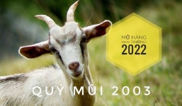  Chọn ngày mở hàng, khai trương cho tuổi Quý Mùi 2003 năm 2022 buôn may bán đắt