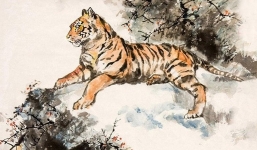 3 tuổi cực xấu trong năm Nhâm Dần 2022: Bính Dần 1986 đặc biệt cẩn trọng