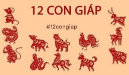 Con số, màu sắc may mắn cho 12 con giáp trong năm Nhâm Dần 2022