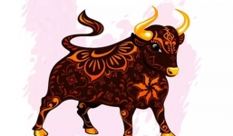 Vận mệnh năm 2022 của các tuổi: Đinh Sửu 1997 mới qua ‘tam tai’ cần cẩn trọng