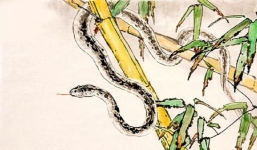 3 tuổi dễ đau ốm trong tháng Giêng năm 2022: Đinh Tỵ hạn La Hầu, Tân Tỵ gặp Thái Bạch