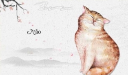 3 tuổi cực xấu không hợp lấy chồng trong năm 2022