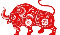 Năm Nhâm Dần, đây là tuổi tiền vào như nước nhờ cát tinh chiếu mệnh