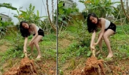 Bà Tưng nhổ sắn, cắt chuối nhưng vẫn không quên khoe khéo 'tuyết lê' tràn viền