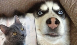 Những lệnh trừng phạt Nga khiến cộng đồng quốc tế 'ngỡ ngàng, ngơ ngác, bật ngửa'