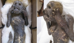 Bí ẩn xác ướp thân người, đuôi cá 300 năm tuổi được tìm thấy ở Thái Bình Dương