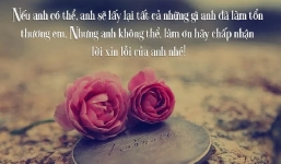 1001 stt xin lỗi người yêu chân thành và ngọt hơn mật khiến đối phương lụi tim