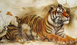 Top 3 con giáp hãm tài, hãm tình nên 'nằm im chờ thời' tuần từ 16-22/5 để tránh tai bay vạ gió