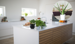 4 cây phong thủy nên trồng trong bếp của gia đình, không chỉ là nguyên liệu nấu ăn mà còn thu hút tài lộc