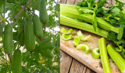 5 loại rau có dư lượng thuốc trừ sâu cực ít, đắt mấy cũng nên mua về