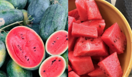 Cách chọn dưa hấu không cần vỗ vẫn bao ngon, mọng nước và ngọt lịm