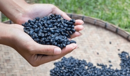 5 tác hại của đậu đen mà không phải ai cũng biết