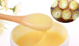 Sữa ong chúa là gì, thành phần, tác dụng, cách sử dụng 