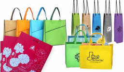 Sư Tử Vàng: Túi vải không dệt thân thiện môi trường mang thông điệp ý nghĩa