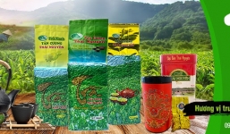 Chè Tân Cương Thái Nguyên quà tặng trân trọng và ý nghĩa - Hải Trà Tân Cương