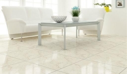 Vì sao gạch Viglacera được ưa chuộng?