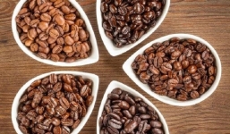 Ngây ngất với hương vị cà phê sạch nguyên chất đến từ Bonjour Coffee