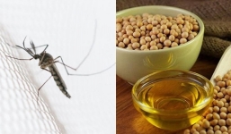 Nhà có trẻ nhỏ, ghim ngay 6 cách đuổi muỗi siêu hiệu quả mà không cần dùng đến hóa chất