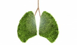 Những thói quen 'nuông chiều' phổi bạn nên biết