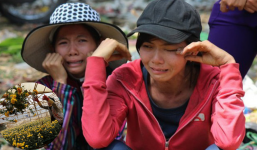 Nghẹn đắng trước thảm cảnh của người nông dân Đà Lạt: Hoa rẻ như cho, xếp đống chờ đổ bỏ