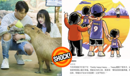 Trương Hằng đăng ảnh cập nhật tình hình 2 con, không quên 'đá xéo' Trịnh Sảng khiến netizen khiếp sợ