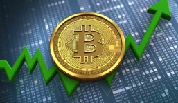 Tin tức kinh doanh 24h ngày 12/9: Giá vàng lao dốc, Giá xăng dầu tăng 