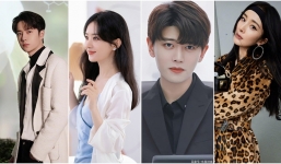 Tin nóng Cbiz ngày 14/1: Dương Mịch được Gucci ưu ái, đỉnh lưu sập Weibo, loạt hot search 'tấu hài', thế lực Trịnh Sảng?