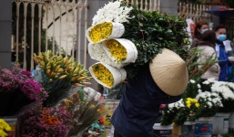 Chợ hoa ngày 29 Tết: Sale 'tới bến', thương lái rớt nước mắt chặt phá 'thà lỗ không bán rẻ'!