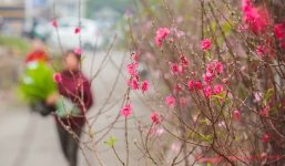 Thời tiết Tết Nhâm Dần 2022: Cập nhật dự báo mới nhất từ 29 tết đến mùng 7 tết Nhâm Dần