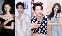 Tin nóng Cbiz ngày 19/2: Thảm cảnh của Cúc Tịnh Y, Lộc Hàm sắp cưới, drama đạo nhái, Chí Tường ra MV?