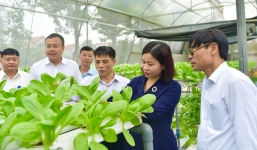 Sóc Sơn: Phấn đấu có 1/3 số xã của huyện đạt chuẩn nông thôn mới nâng cao 